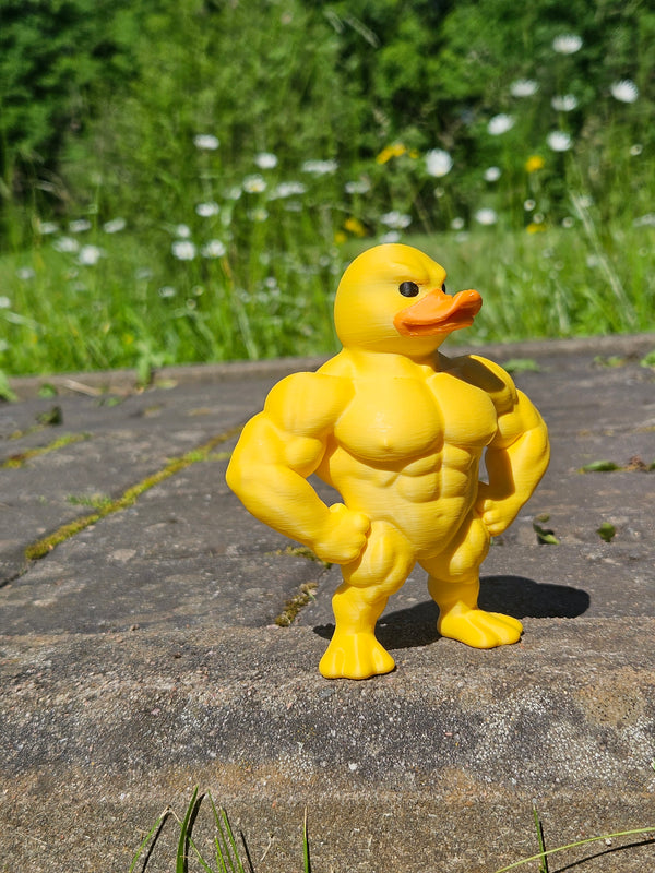 Bodybuilder Duck (Figure/Keychain)