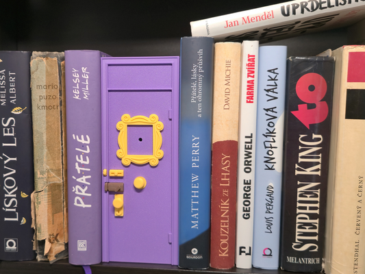Friends Book Nook Money Box