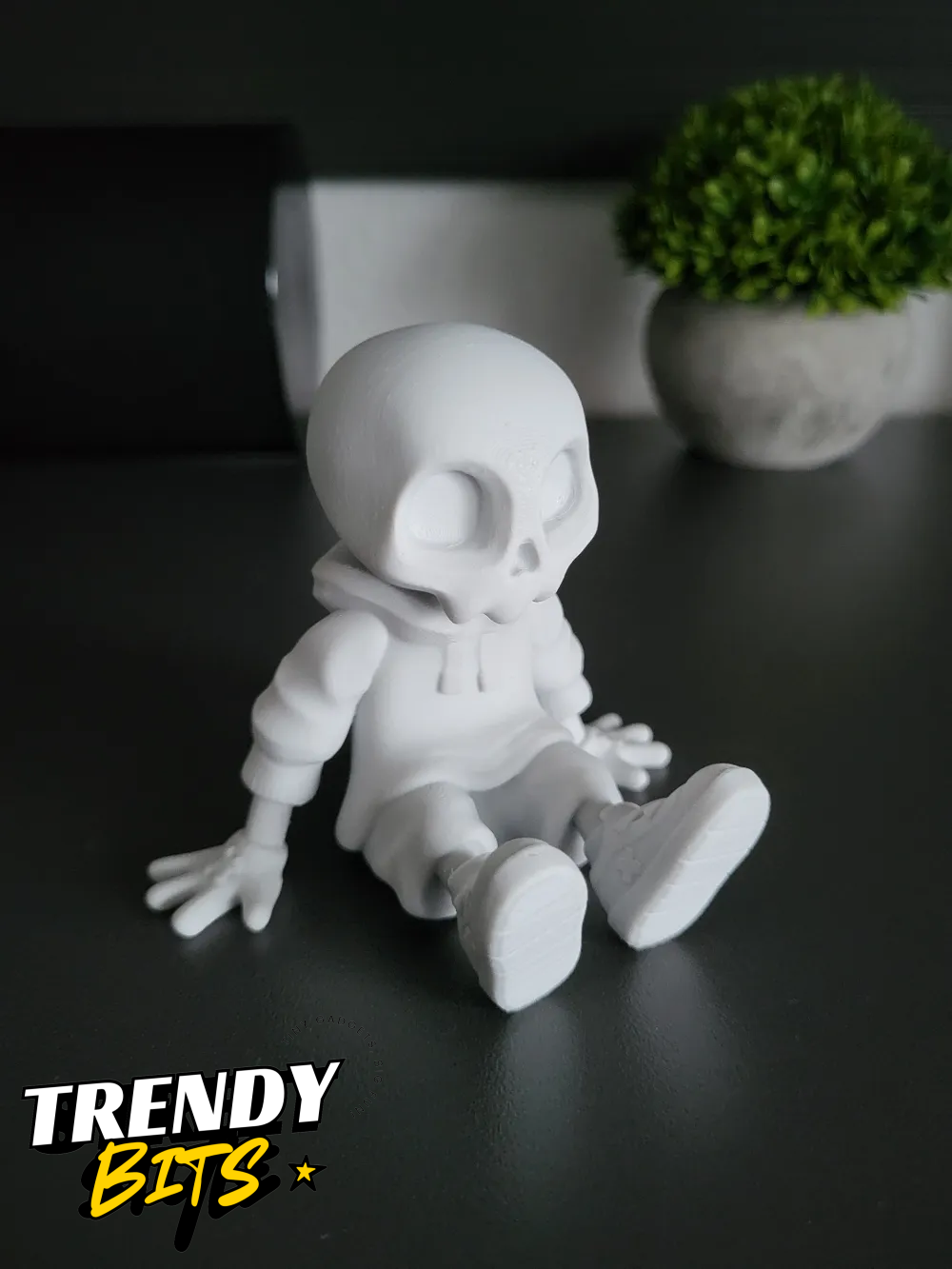 Setup Buddy - Sitting Version