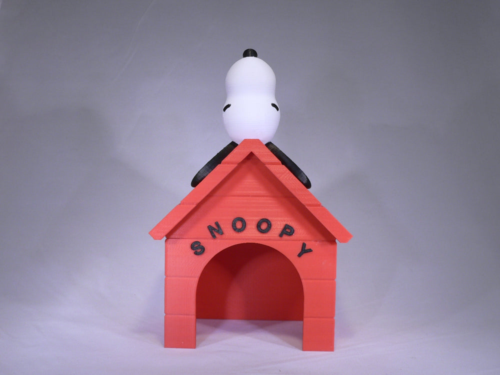 Snoopy Dog House