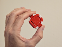 Casino Chip Fidget