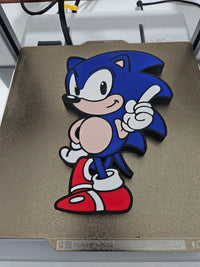 Sonic The Hedgehog Display Piece