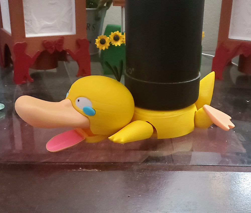 Psyduck Interactive Coaster