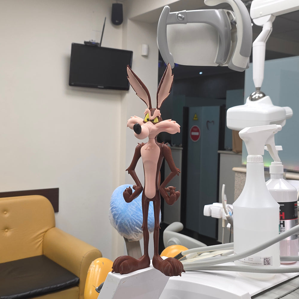 Wile E. Coyote Display Figure