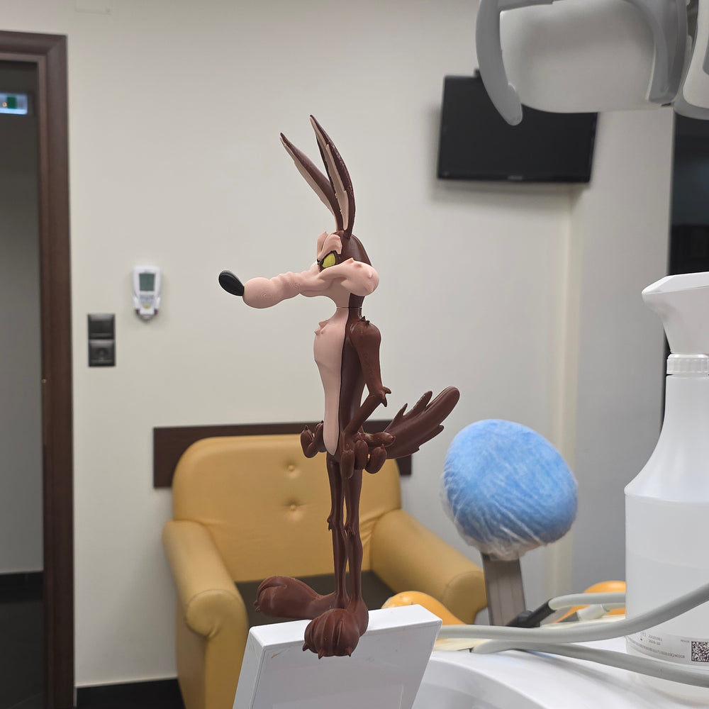 Wile E. Coyote Display Figure
