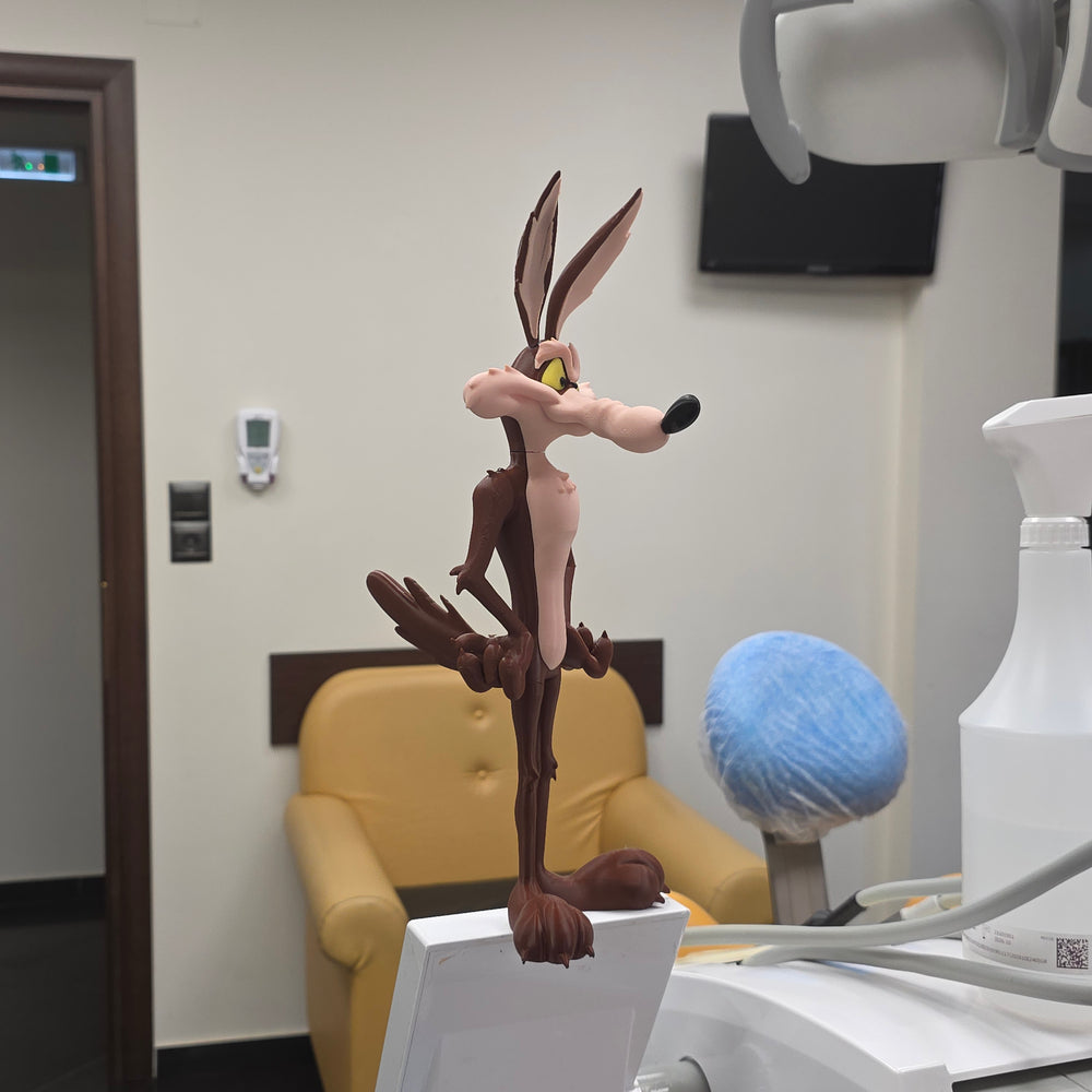 Wile E. Coyote Display Figure