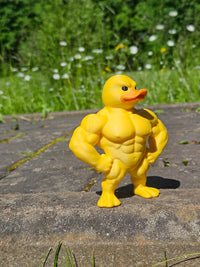 Bodybuilder Duck (Figure/Keychain)