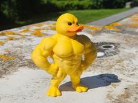 Bodybuilder Duck (Figure/Keychain)
