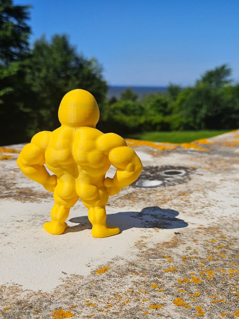 Bodybuilder Duck (Figure/Keychain)