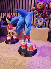 Sonic Urban Vibes Display Piece