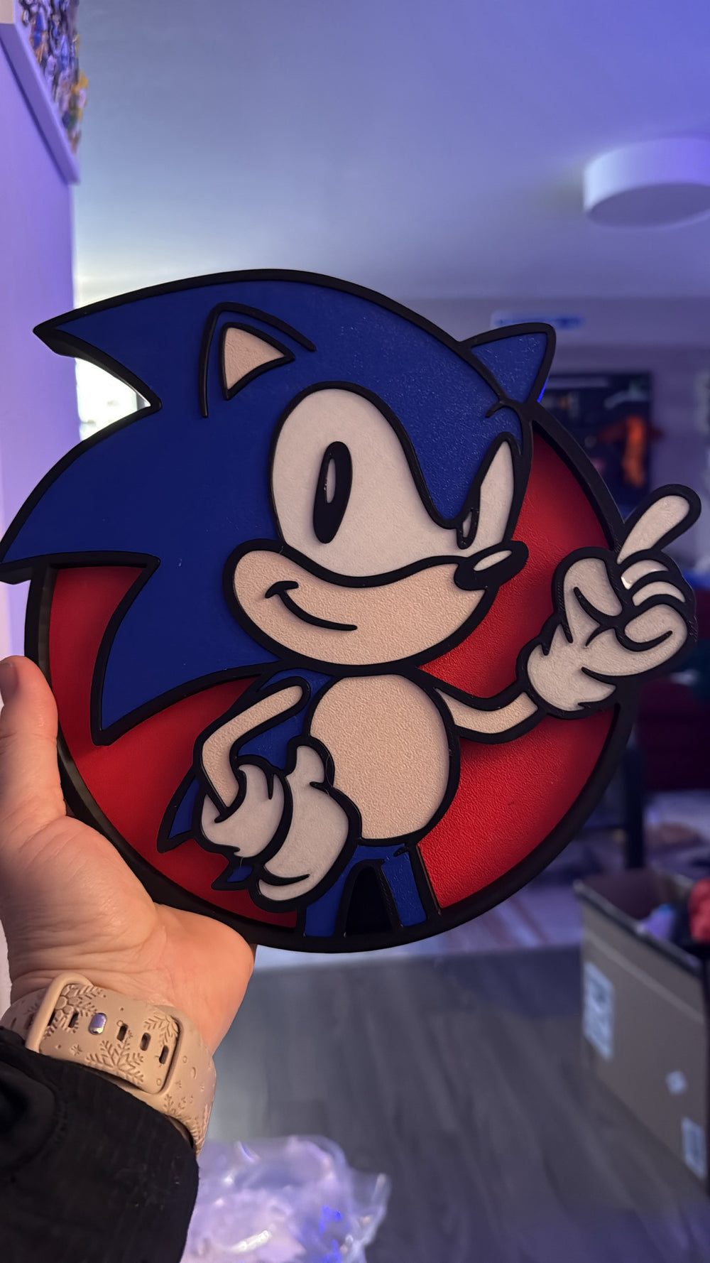 Sonic the Hedgehog Wall Decor