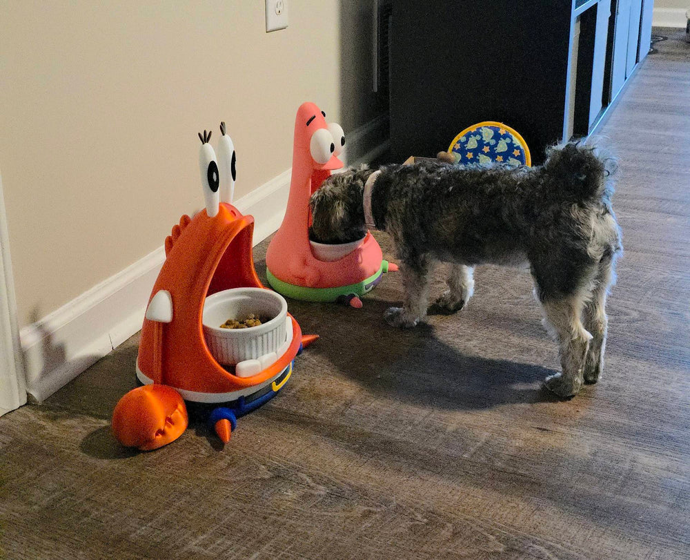 Patrick Pet Bowl