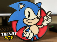 SONIC the HEDGEHOG Wall Decor