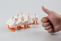 DUCK U! Figure