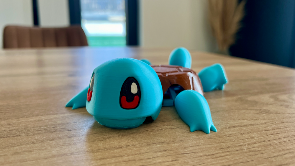 Squirtle Coaster