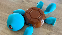 Squirtle Coaster