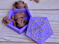 Harry Potter Chocolate Frog – Flexi Toy with Storage Box