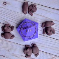 Harry Potter Chocolate Frog – Flexi Toy with Storage Box