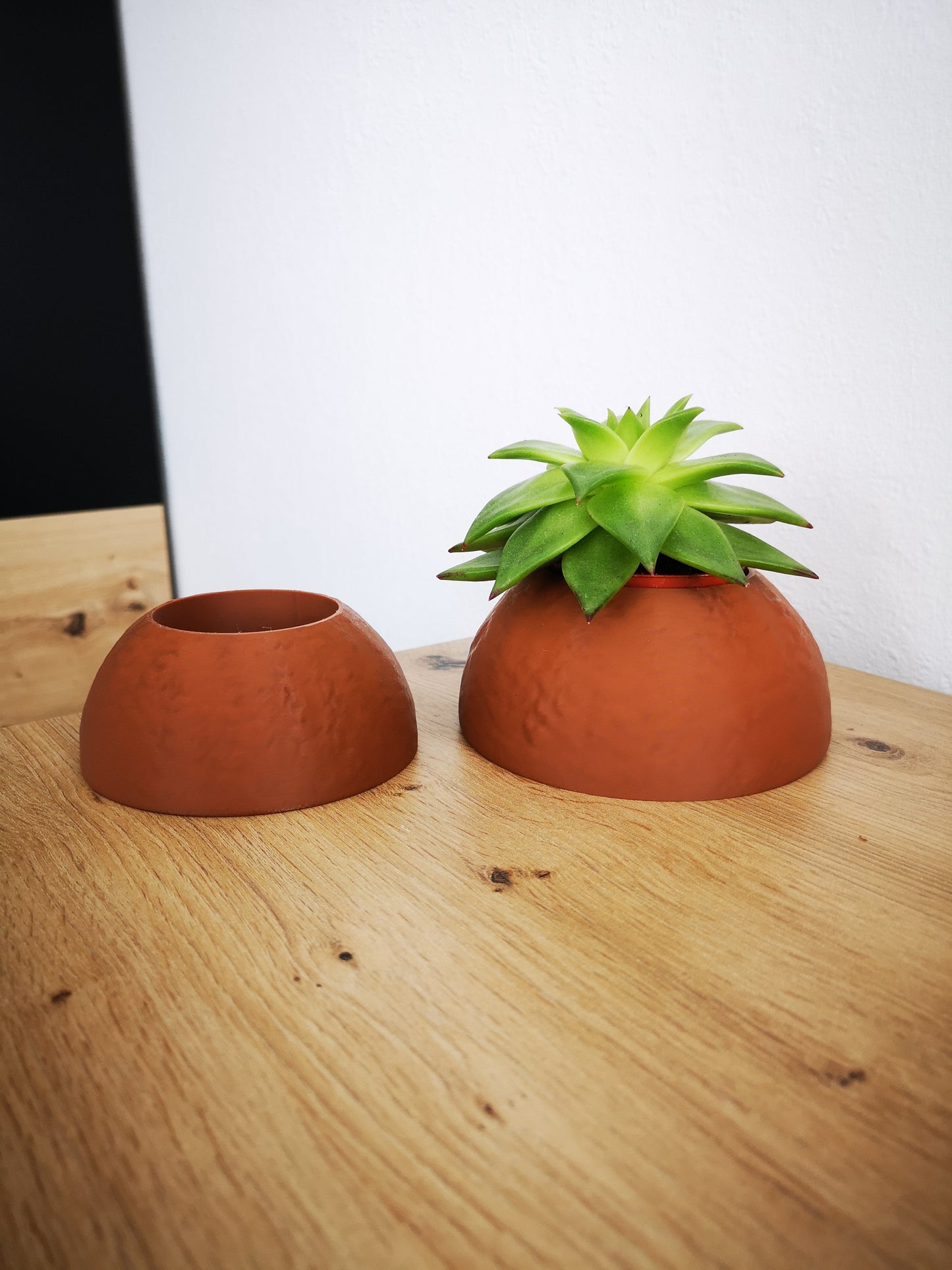 Bikini Bottom Houses Planter Set