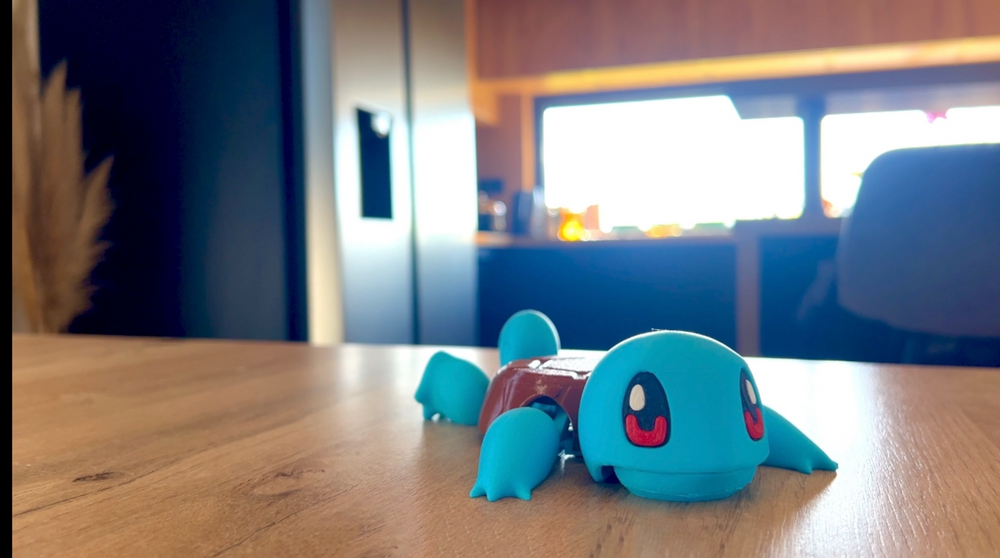 Squirtle Coaster