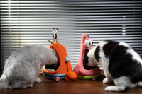 Patrick Pet Bowl