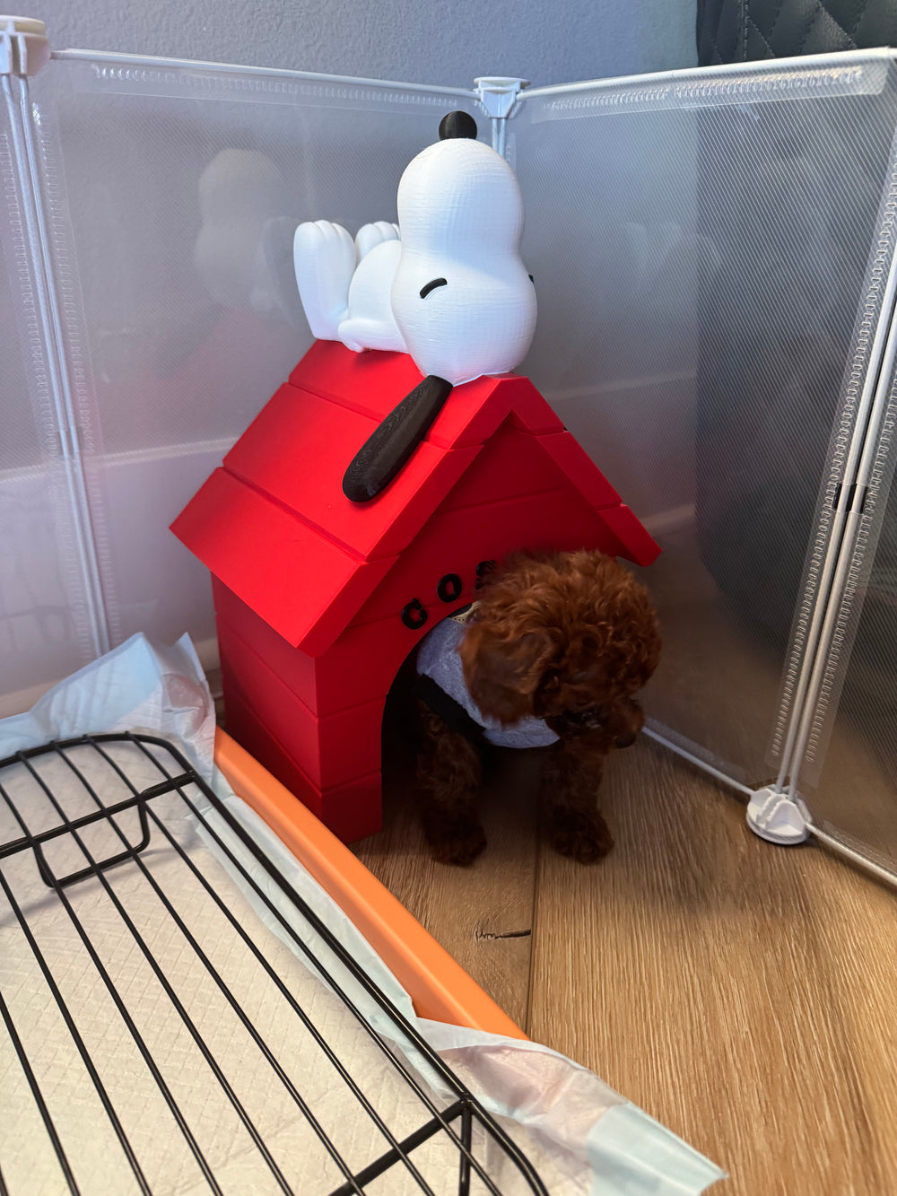Snoopy Dog House