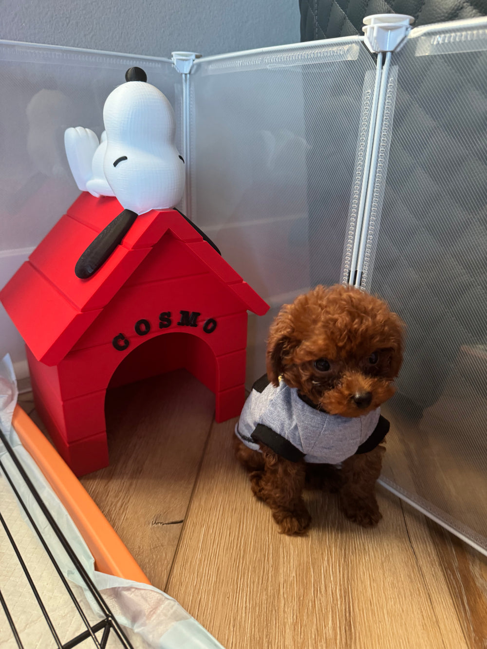Snoopy Dog House
