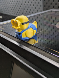 Bob Duck-Minion