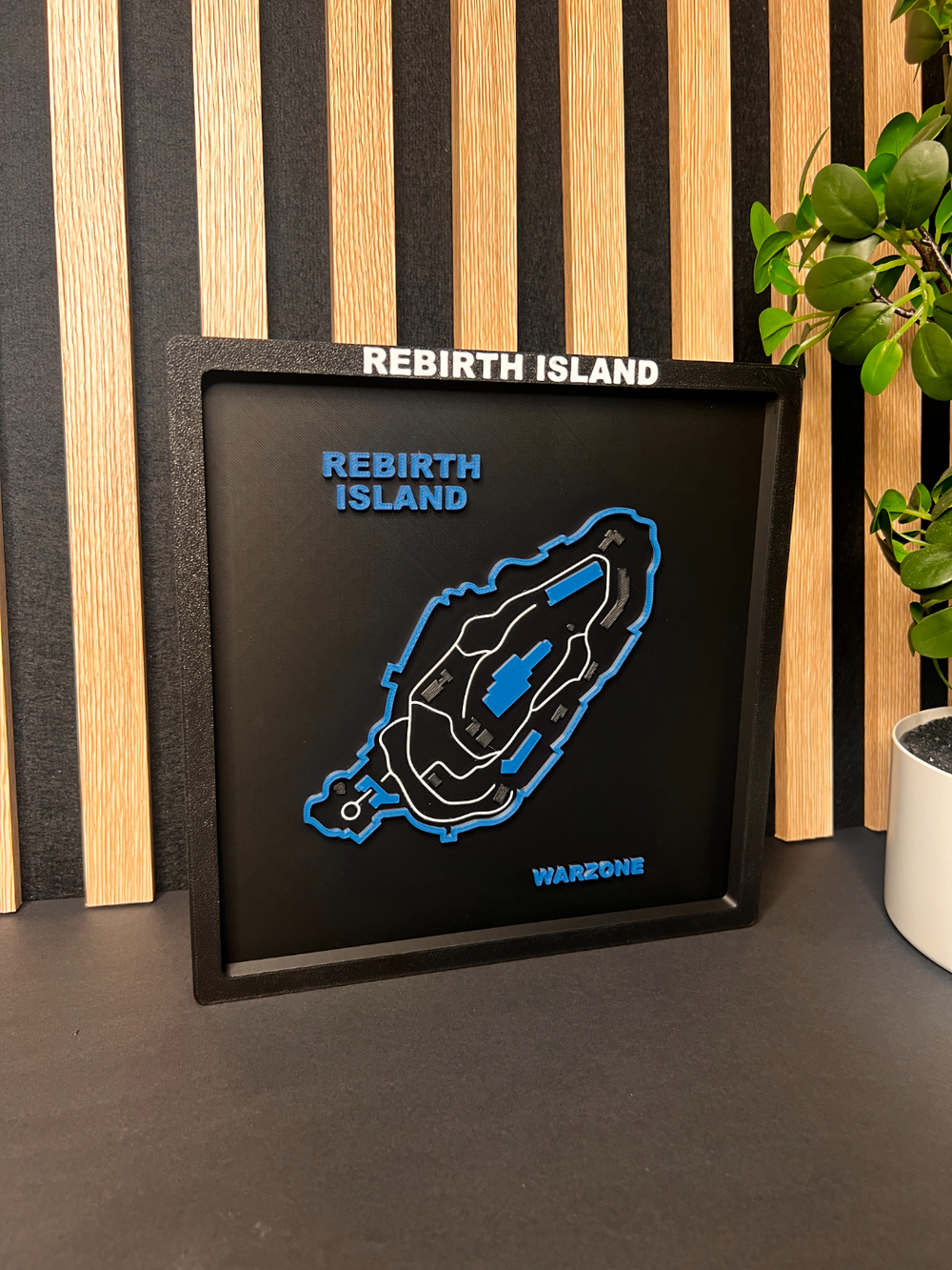 Call of Duty Rebirth Island Display