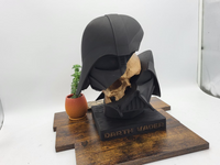 Darth Vader Skull Collector Bust